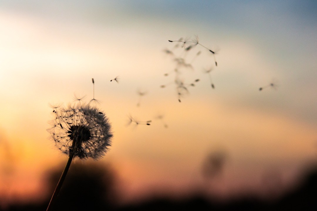 SlideShare cover: The rise of open supply chains